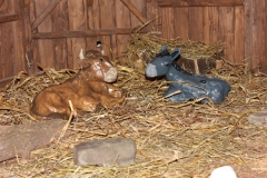 Klappchen_21.12.12_022