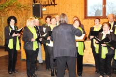 09_Bez.SaengerFest_22.04.2017