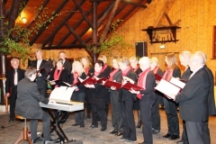 25_Bez.SaengerFest_22.04.2017