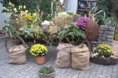 Erntedankfest_2008_006