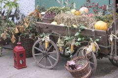 Erntedankfest_2008_026