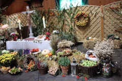 IMG_5526Ernte_13-Gruppe_750-IMG_552718
