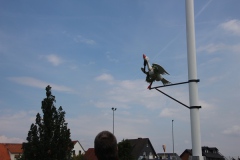 IMG_3867_Heringsdiestag_26.7.2016_038
