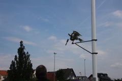 IMG_3868_Heringsdiestag_26.7.2016_039