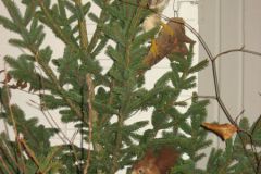 Hubertusmesse_6.11.09_045