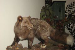 Hubertus_5.11.10_007