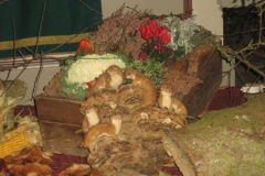 Hubertus_5.11.10_023