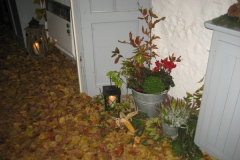 Hubertusmesse_4.11.2011_002