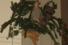 Hubertusmesse_4.11.2011_012