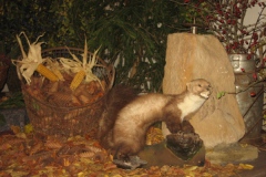 Hubertusmesse_4.11.2011_013