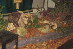 Hubertusmesse_4.11.2011_016