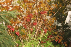 Hubertusmesse_4.11.2011_069