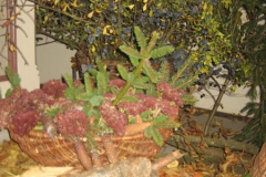 Hubertusmesse_4.11.2011_074