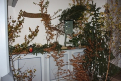 Hubertusmesse_2.11.12_010