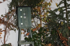 Hubertusmesse_2.11.12_012