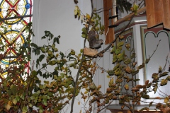 Hubertusmesse_2.11.12_022