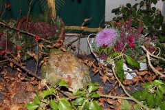 Hubertusmesse_2.11.12_029