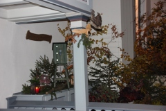 Hubert_13_IMG_669714