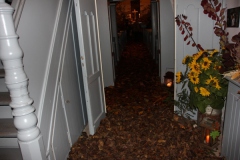 Hubert_13_IMG_669719