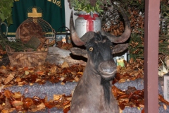 Hubert_13_IMG_669721