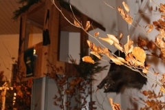 Hubert_17-11-3_IMG_355116