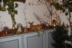Hubert_17-11-3_IMG_355217