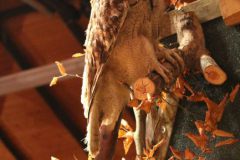 hubertusmesse_2025_00005