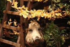 hubertusmesse_2025_00008