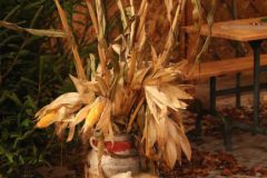 hubertusmesse_2025_00013