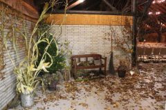 hubertusmesse_2025_00018