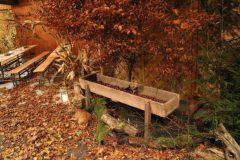 hubertusmesse_2025_00024