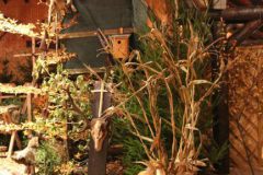 hubertusmesse_2025_00027