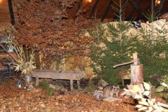 hubertusmesse_2025_00045