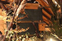 hubertusmesse_2025_00088