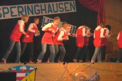 Karneval_2009_-_net_037