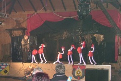 Karneval_2009_-_net_044