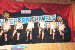 Kappenball_15_IMG_28801130