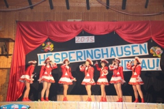 Kappenball_15_IMG_2880125