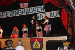 Kinderkarneval_14-IMG_7700IMG_783838