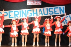 06_Kinderkarneval_2018_IMG_4443