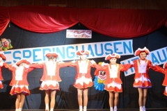 10_Kinderkarneval_2018_IMG_4462