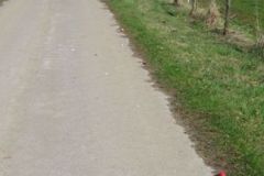 Ostereierwettrollen_5.4.2010_014