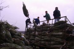 Osterfeuer_2008_-_13