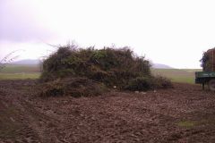 Osterfeuer_2008_-_4