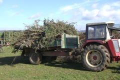 Osterfeuer_2010_002