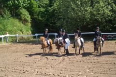 Pfingsten_2008_Reiterhof_Romer2