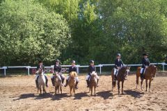 Pfingsten_2008_Reiterhof_Romer6