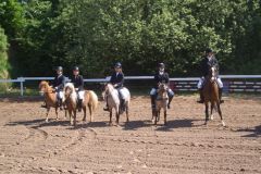 Pfingsten_2008_Reiterhof_Romer_5