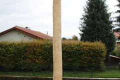OB-Schwalbenhaus