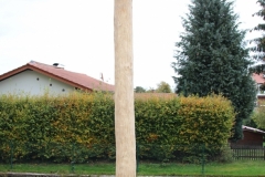 OB-mit-Schwalbenhaus